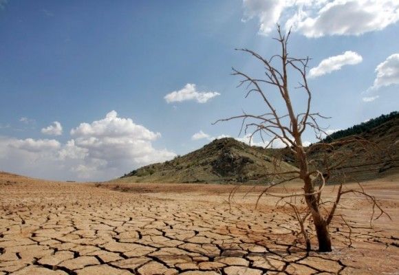 En este momento estás viendo Fenómeno de El Niño: hay alerta por su impacto en la economía colombiana, principalmente en los sectores agropecuario y energético